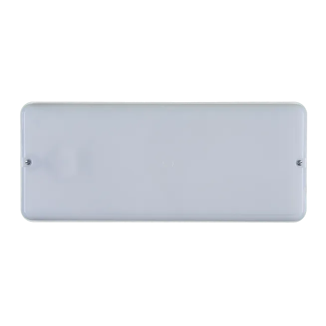 Lighting fitting Teorit with photoelectric cell, mate cover, Lamp: PL-11W, Waterproof: IP 53