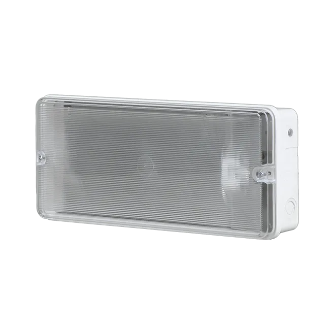 Lighting fitting Teorit without photoelectric cell, transparent cover, Lamp: PL-11W, Waterproof: IP 54