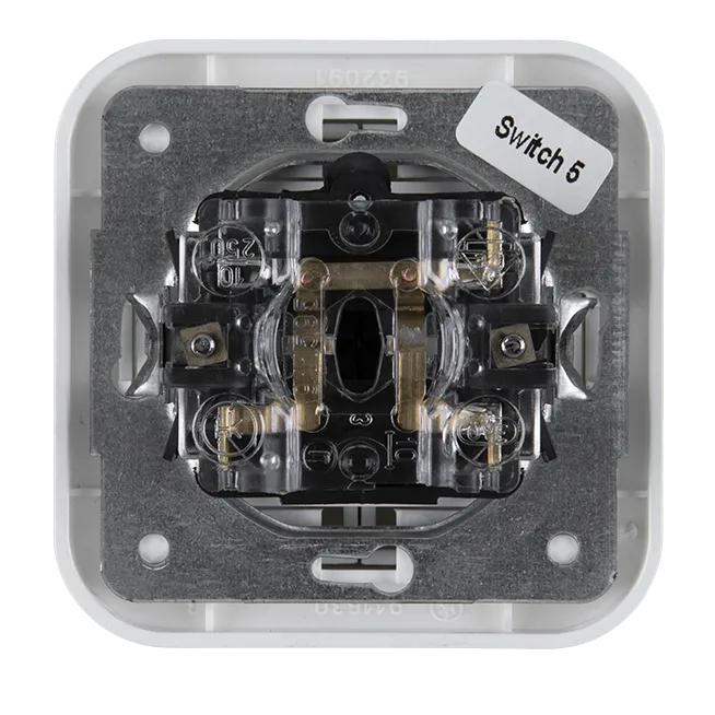 Two-circuit single-interruption switch